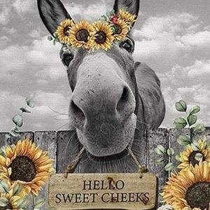 Meet your Posher, Carla